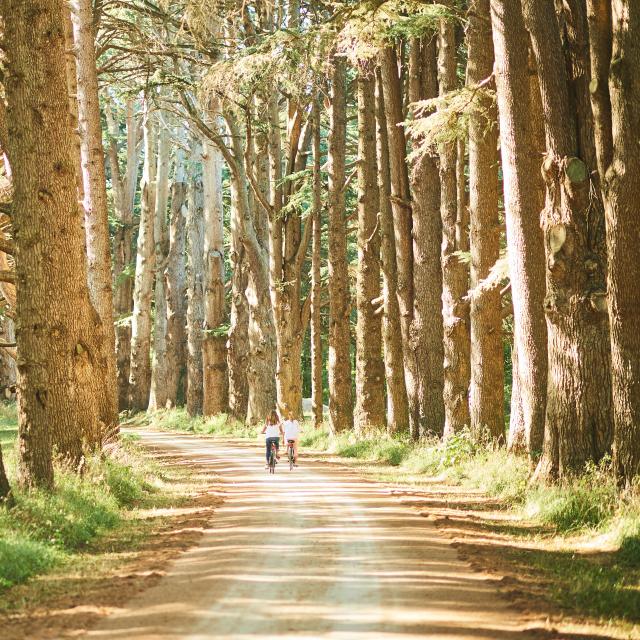 Ballade en vélo