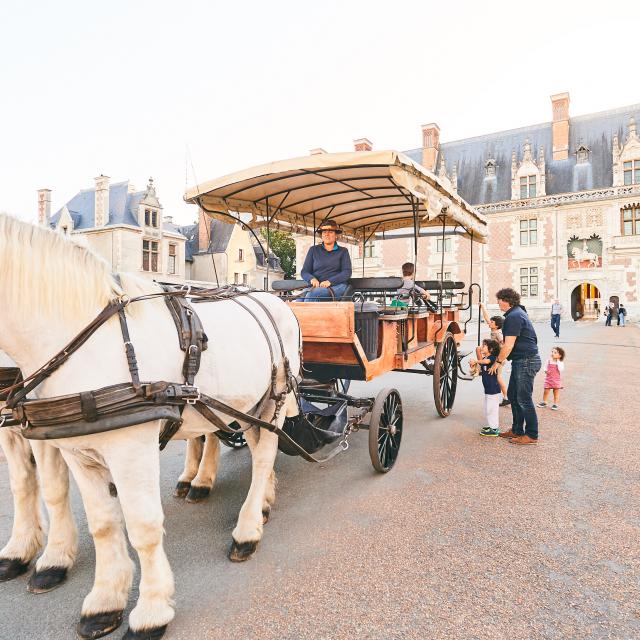 Calèche place du Château de Blois 2