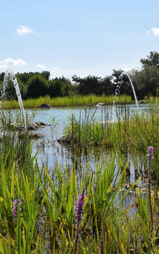 Baignade naturelle de Mont-Près-Chambord