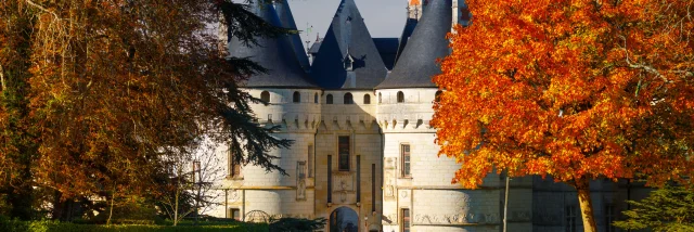 Automne-chaumont_web-.jpg