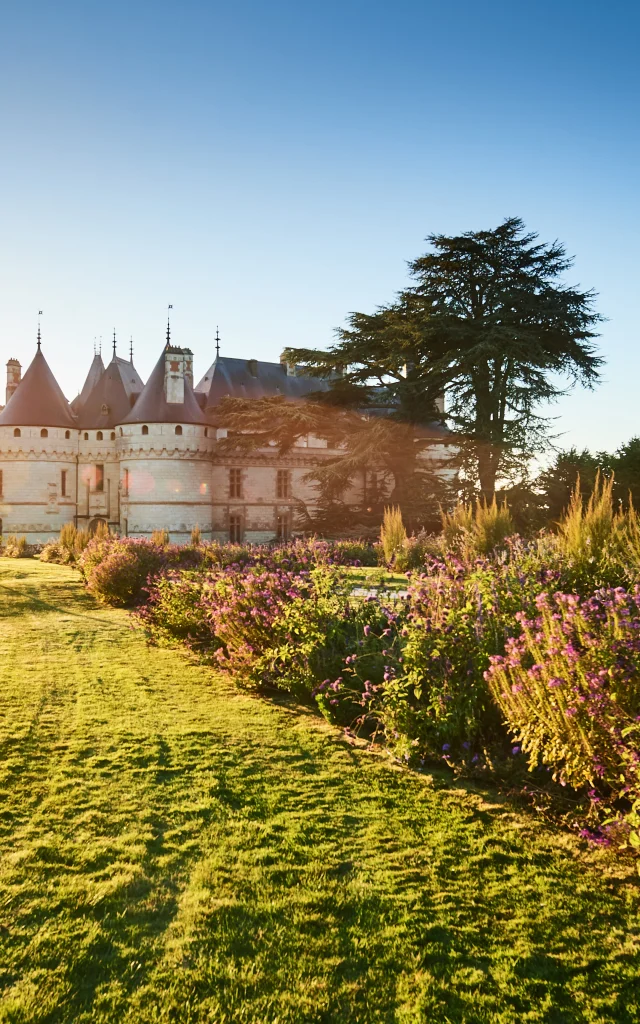 Domaine de Chaumont-sur-Loire