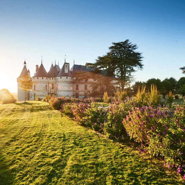 Domaine de Chaumont-sur-Loire