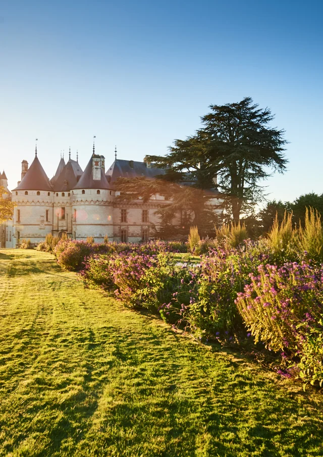 Domaine de Chaumont-sur-Loire