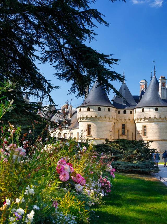 Domaine de Chaumont-sur-Loire