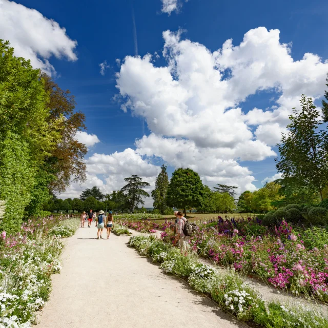 Domaine de Chaumont-sur-Loire