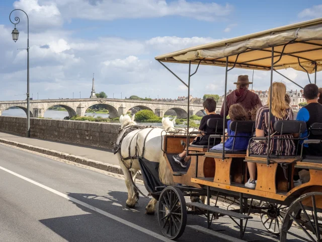 Attelages Blois Aout2021