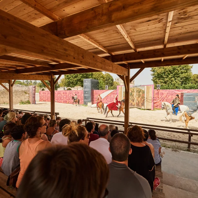 Spectacle Chevaux et rapaces