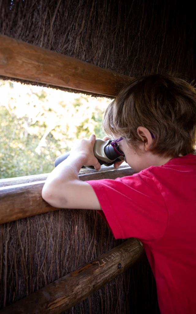 Observation à Chambord