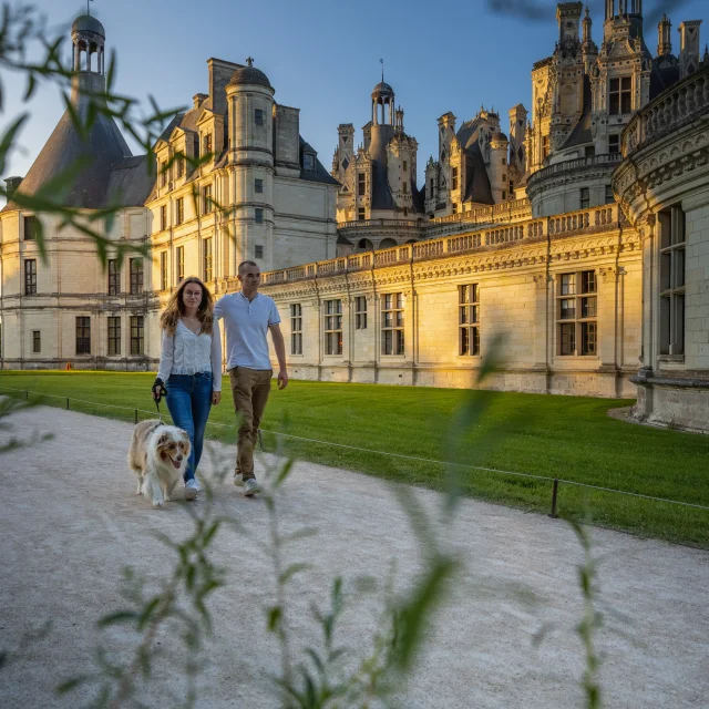 Balade à Chambord