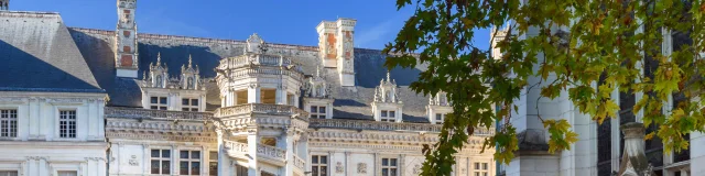 Château royal de Blois