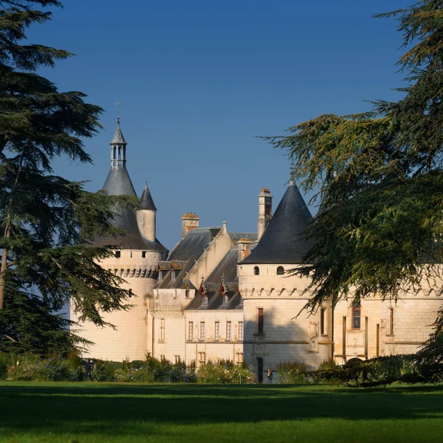 Domaine de Chaumont-sur-Loire