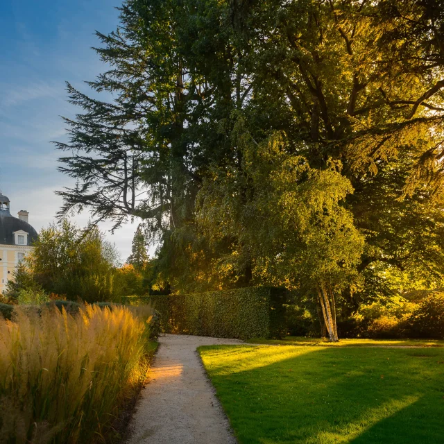 Château de Cheverny