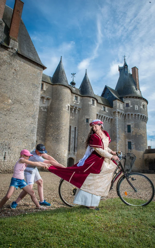 Château de Fougères-sur-Bièvre