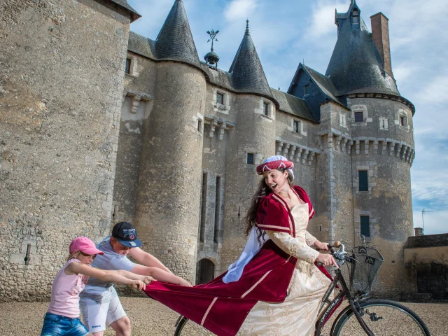 Château de Fougères-sur-Bièvre