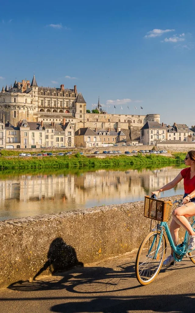 Jardin Château Royal d'Amboise