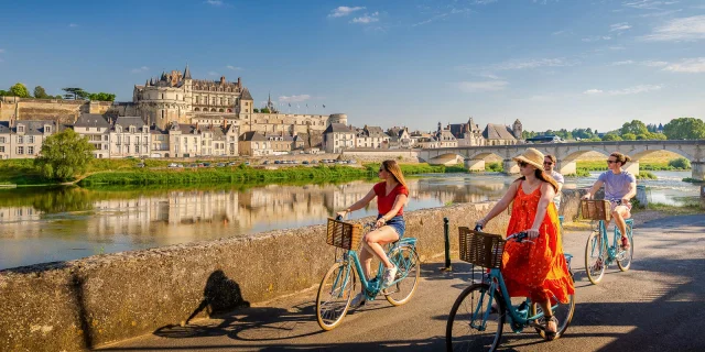 Jardin Château Royal d'Amboise