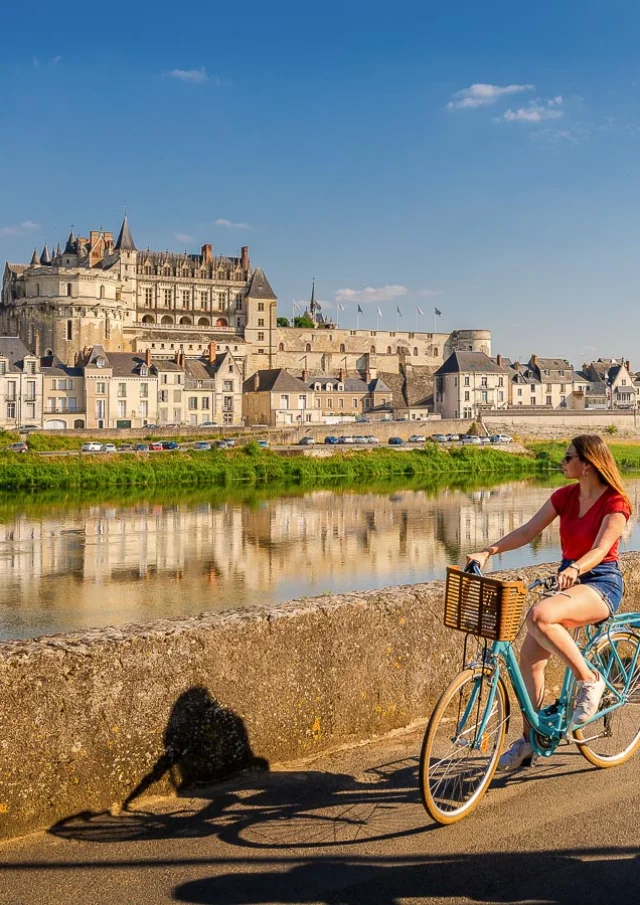 Jardin Château Royal d'Amboise