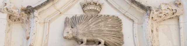 Porc Epic De Louis Xii Chateau Royal De Blois C F. Christophe 5