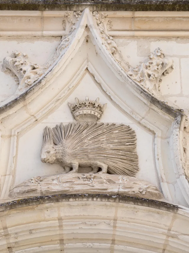 Porc Epic De Louis Xii Chateau Royal De Blois C F. Christophe 5