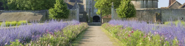 Château de Talcy