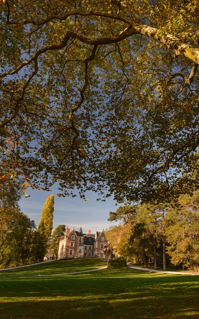 Herbst Chateau Du Clos Luce Leonard De Serres 3