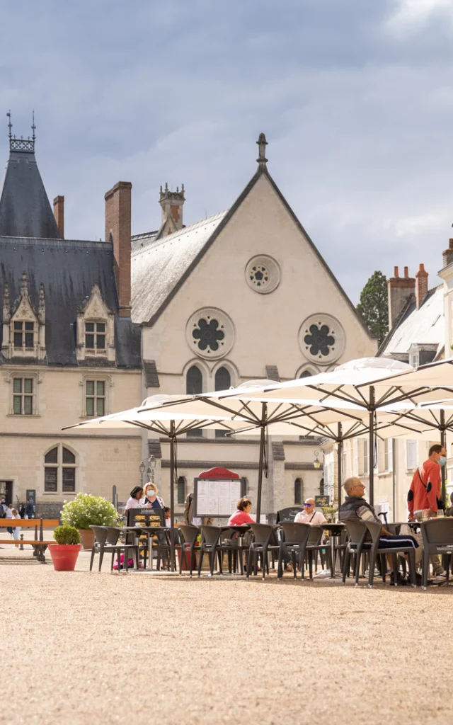 Place Du Chateau De Blois