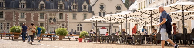 Place Du Chateau De Blois