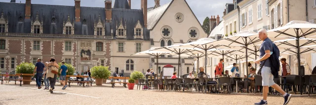 Place Du Chateau De Blois