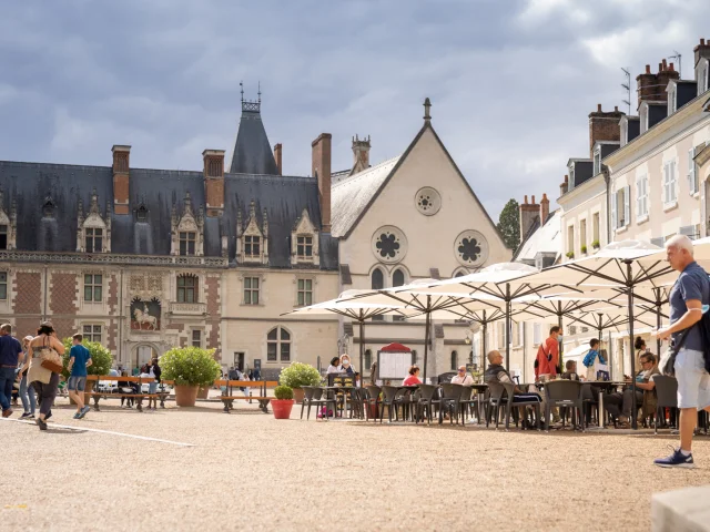 Place Du Chateau De Blois