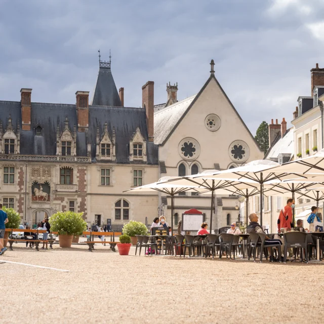 Place Du Chateau De Blois