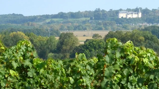 Vignes Et Chateau Chaumont