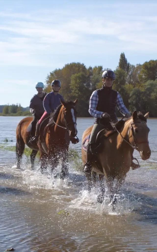 Cheval Loire