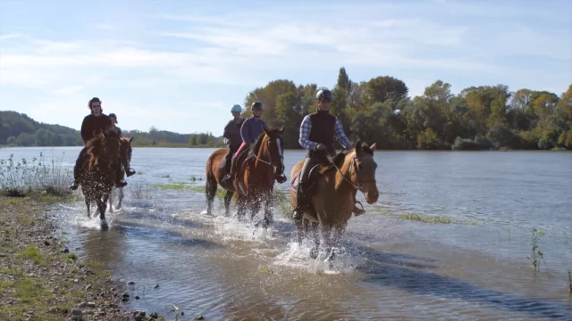 Cheval Loire