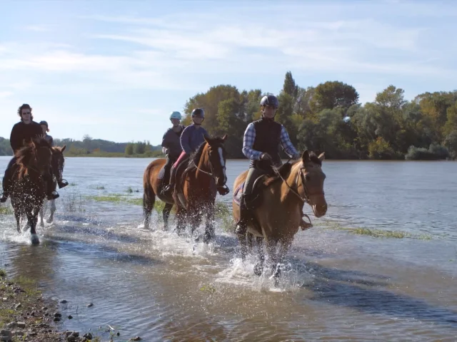 Cheval Loire