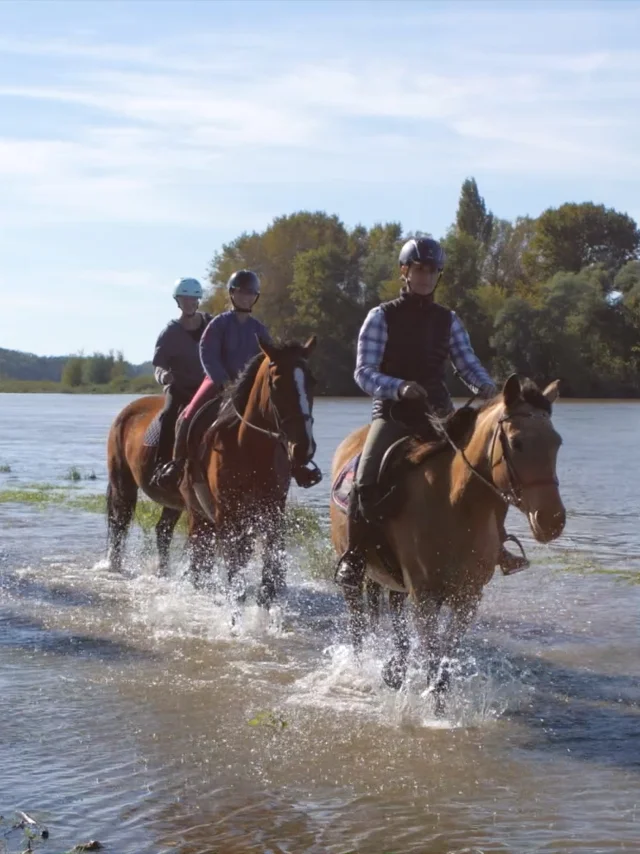 Cheval Loire