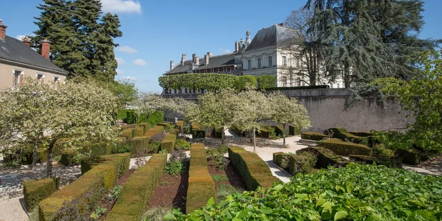 Jardin Du Roy