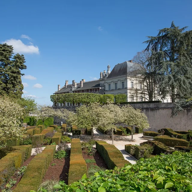 Jardin Du Roy