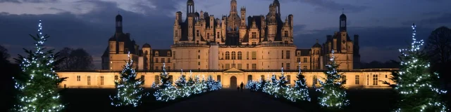 Noel A Chambord, sapins illuminés