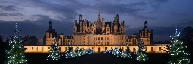 Noel A Chambord, sapins illuminés