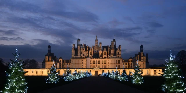 Noel A Chambord, sapins illuminés