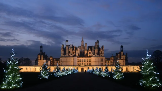 Noel A Chambord, sapins illuminés