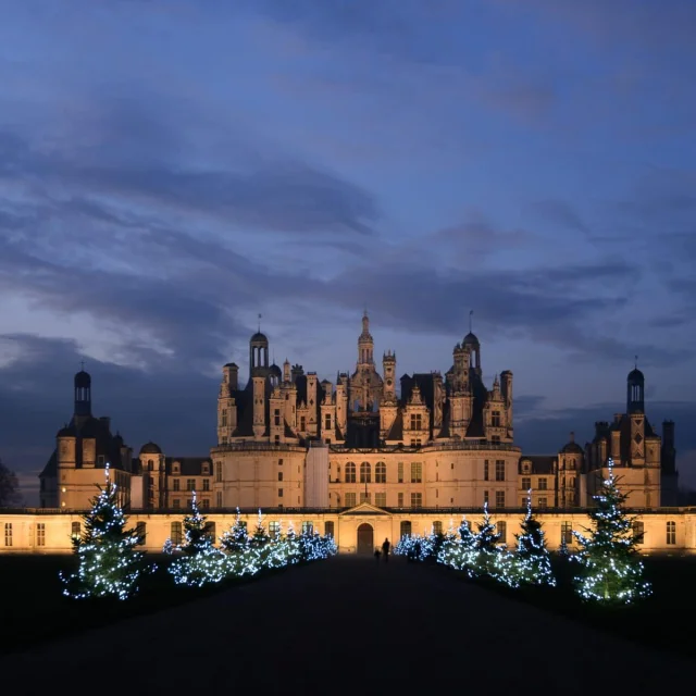 Noel A Chambord, sapins illuminés