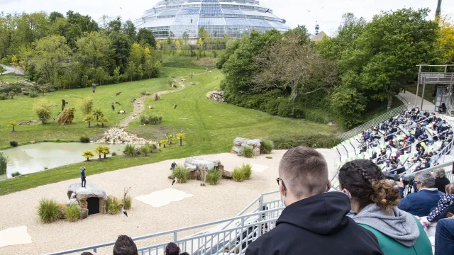 Spectacle Beauval