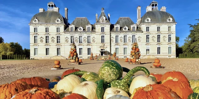 Chateau De Cheverny Citrouilles Fb