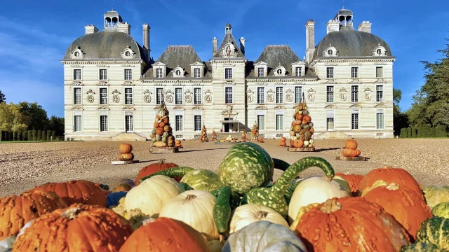 Chateau De Cheverny Citrouilles Fb