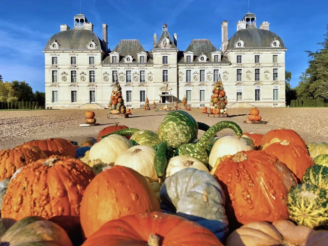 Chateau De Cheverny Citrouilles Fb