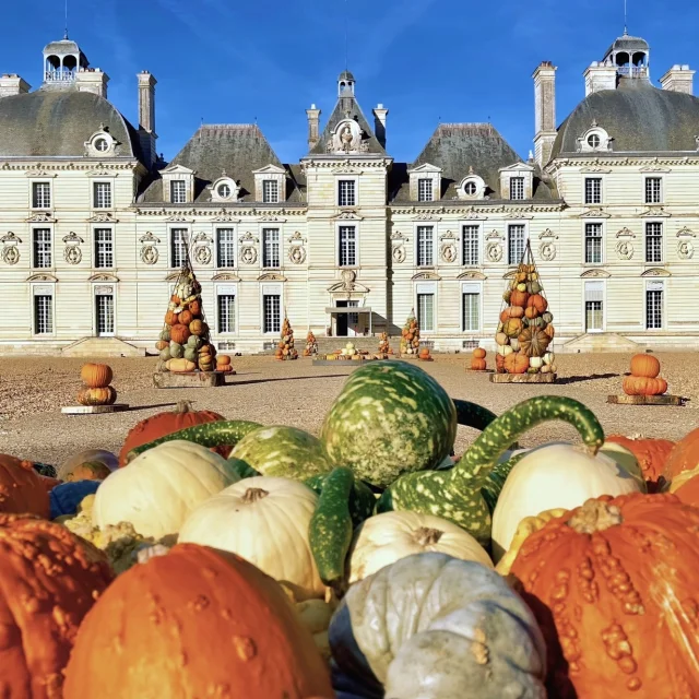 Chateau De Cheverny Citrouilles Fb