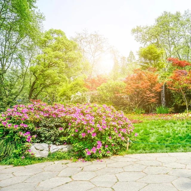 Jardin Prieure Dorchaise