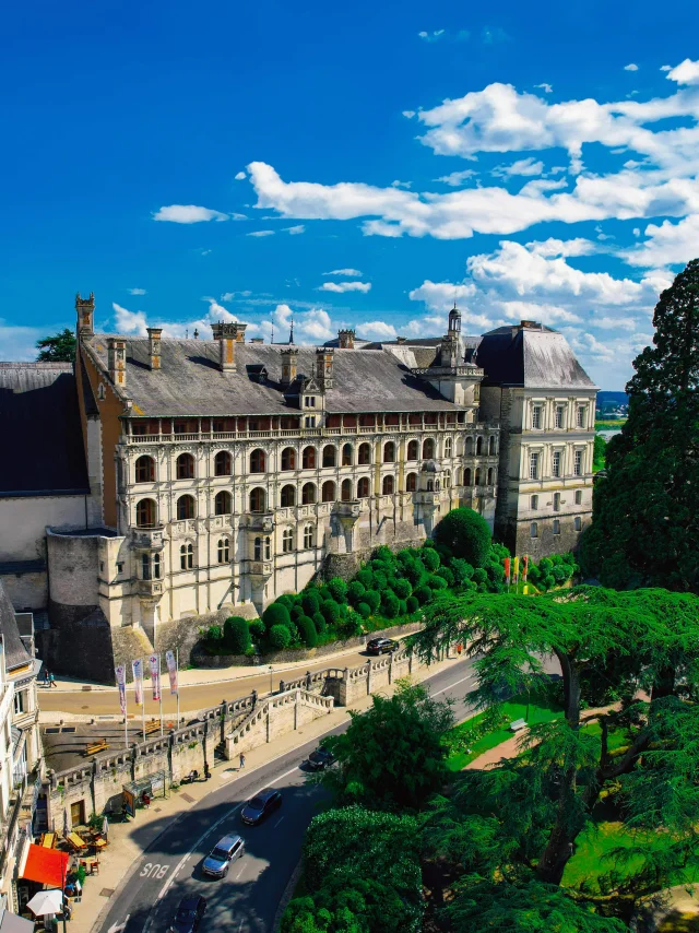 Le château Royal de Blois