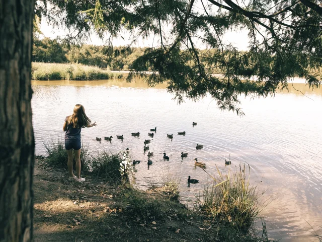 Etang de Sologne